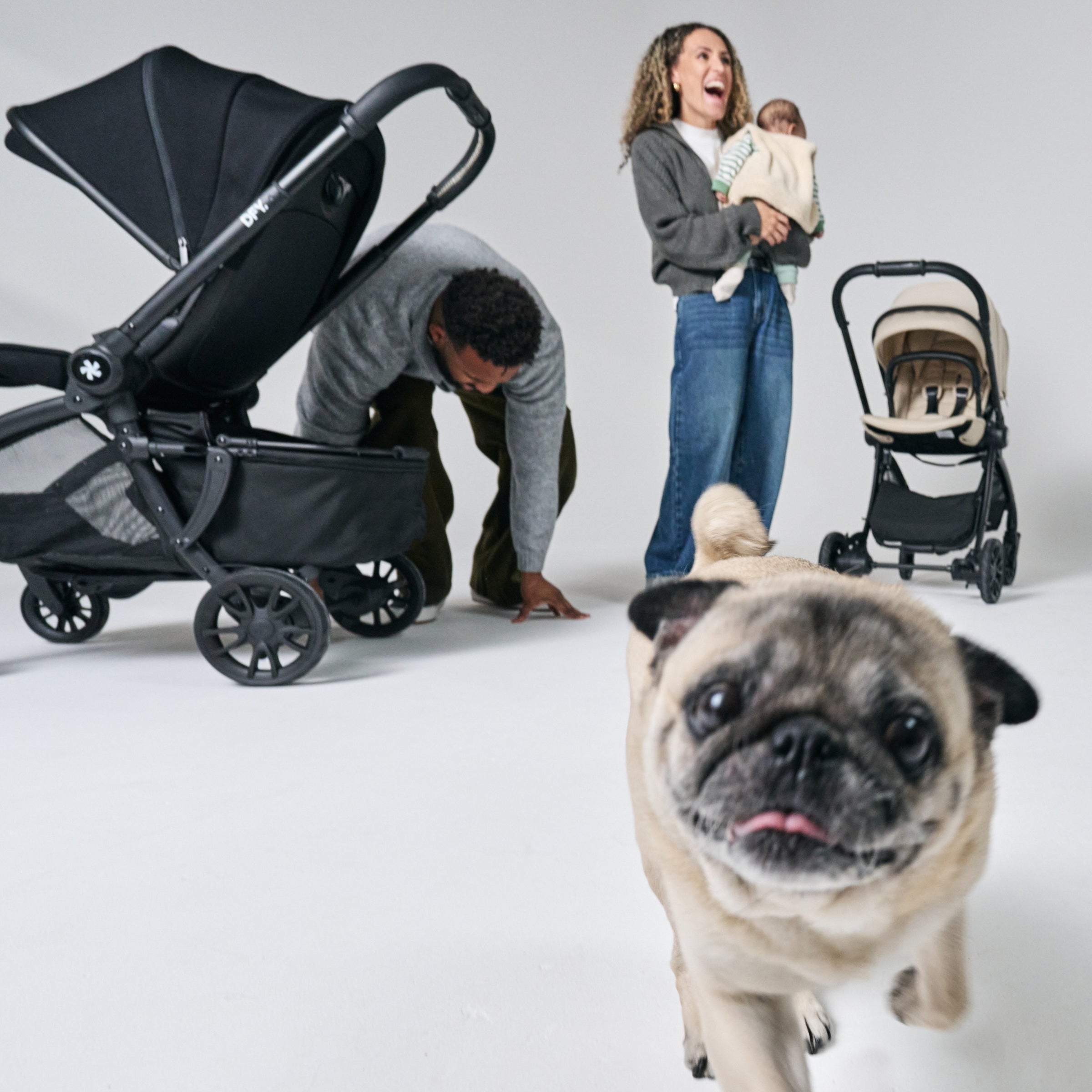 pug running up to camera with stroller and family in the background