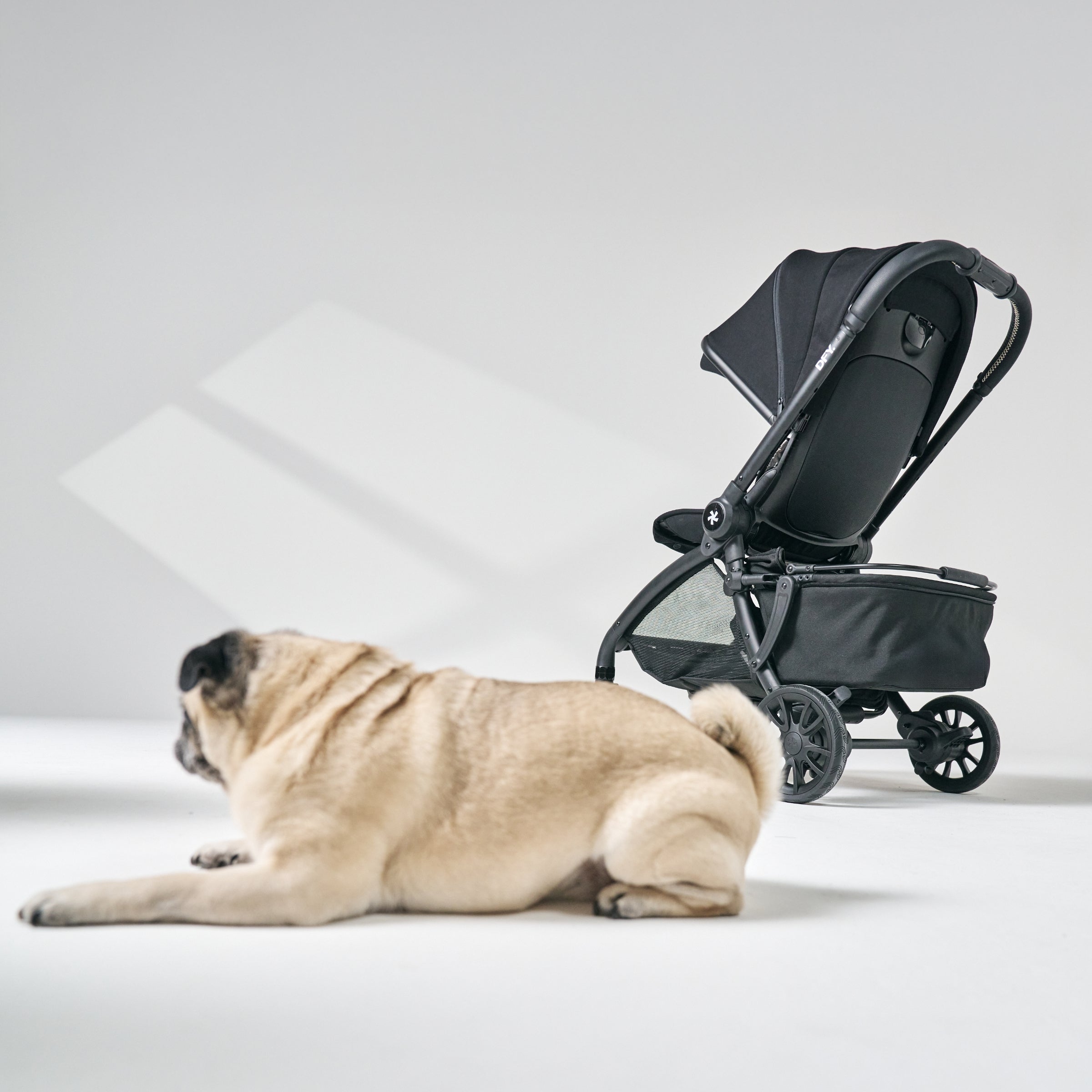 Pet Basket – DFY Ordinary